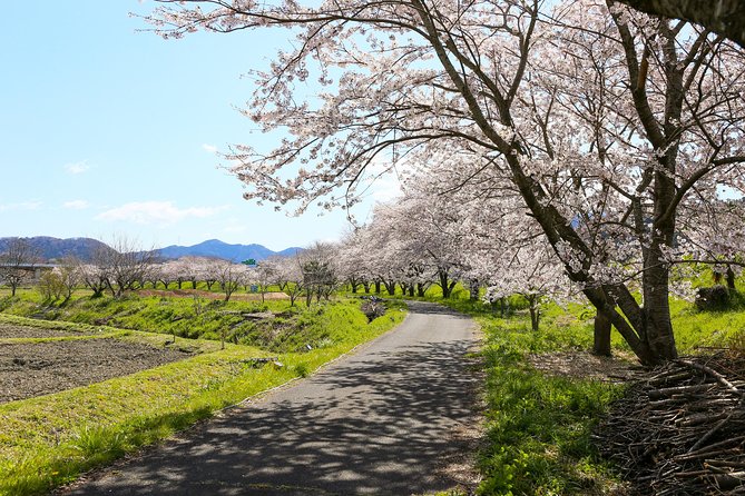 Japan's Rural Life & Nature: Private Half Day Cycling Near Kyoto - Why Maibara makes a smart half-day escape