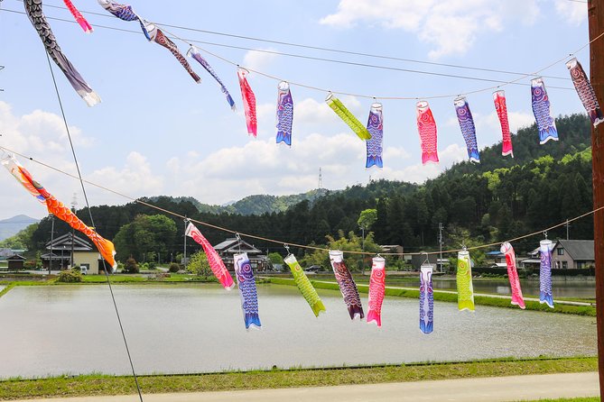 Japan's Rural Life & Nature: Private Half Day Cycling Near Kyoto - The untreated spring and the story beneath the fields