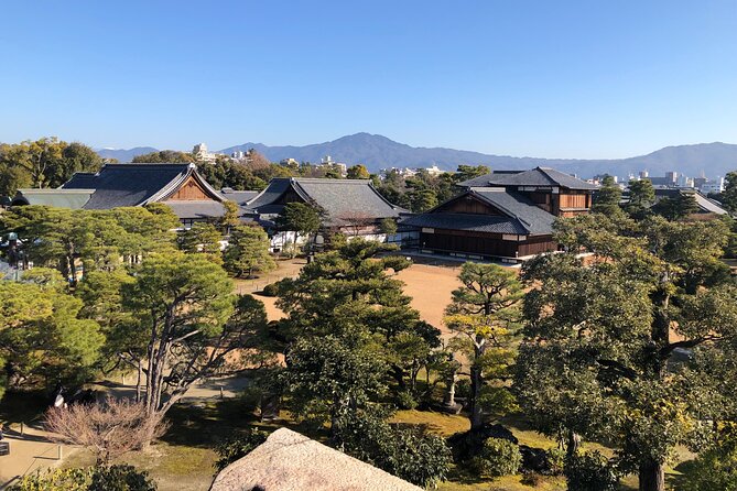 Kyoto Bamboo Forest & Golden Pavilion E-Bike Tour - Tenryu-ji’s Zen garden in Arashiyama
