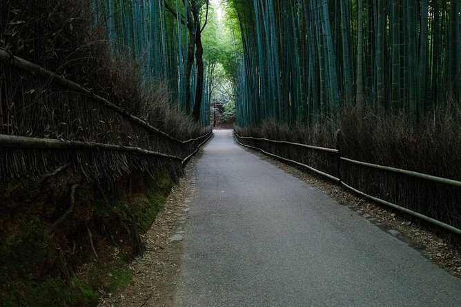 Kyoto Bamboo Forest & Golden Pavilion E-Bike Tour - Walking through the Arashiyama Bamboo Forest