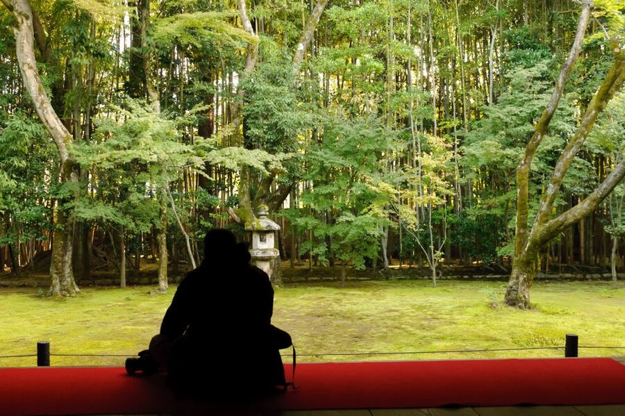 Kyoto: City Secrets eBike Tour - Shrines, temples, and the shrine of knowledge