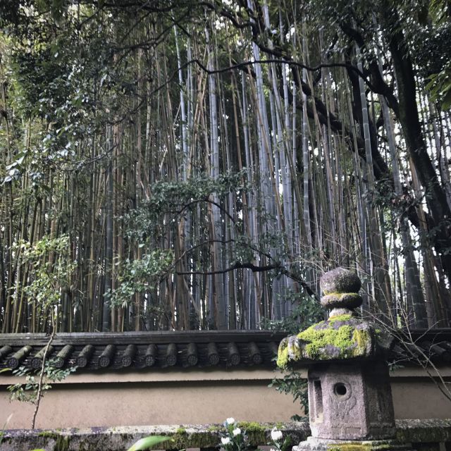 Kyoto: City Secrets eBike Tour - What the ride feels like on the road
