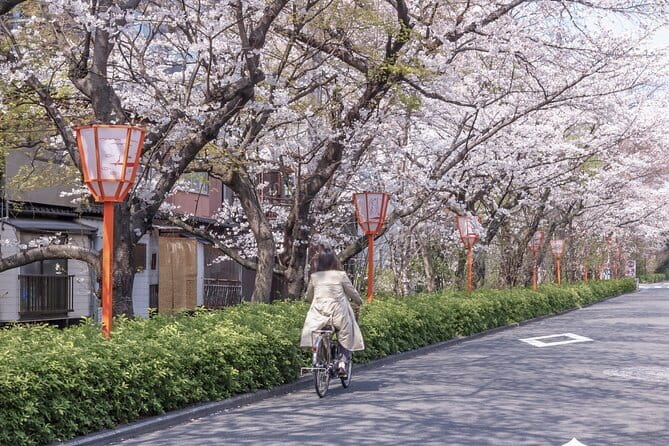 Kyoto E-Bike Tour of Hidden Gems, Backstreets and Temples - Why an e-bike makes sense in Kyoto
