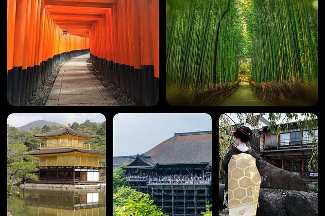 Kyoto E-Bike Tour of Hidden Gems, Backstreets and Temples - The quiet paths of Honen-in