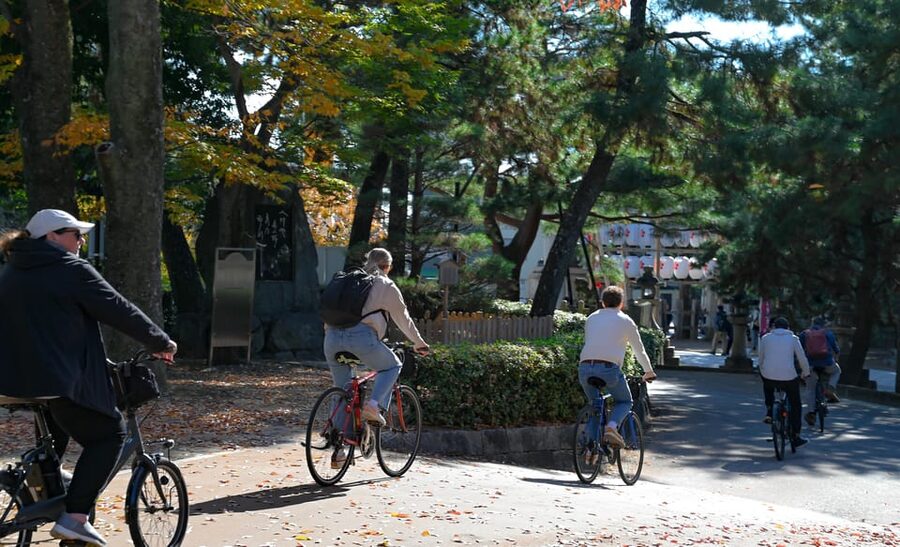 Kyoto: Full Day Bike Tour - Lunch and the Kyoto Imperial Palace