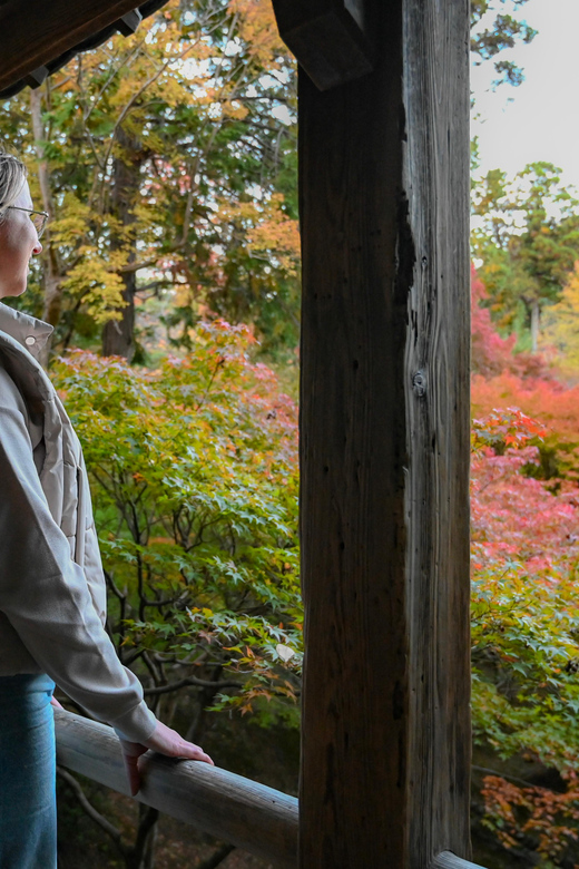 Kyoto: Half-day Guided Bike Tour with Fushimi Inari - Price, pace, and overall value