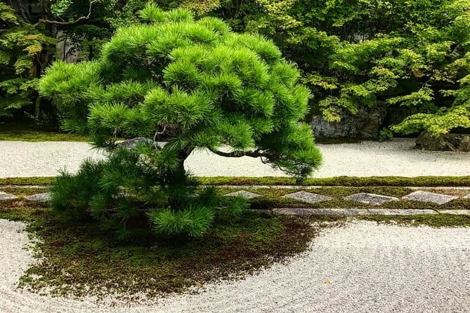 Kyoto: Higashiyama Slow Cycling Tour along the quiet waterfront - Food, flexibility, and what is not included