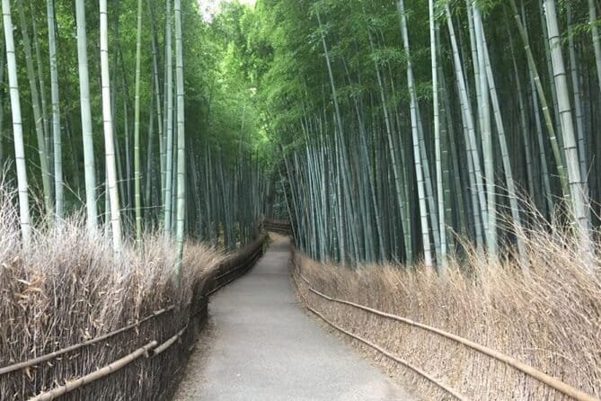 Kyoto Shogun Cycling Tour - Is $153.50 a fair price?