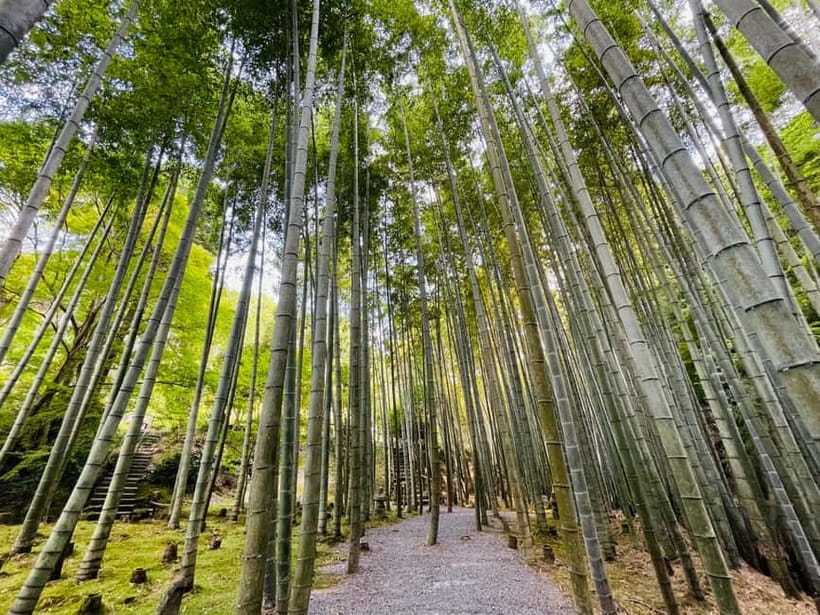 Kyoto : True Kyoto Avoid the crowds E-Bike Tour - Key points to know before you book