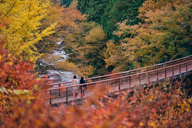 Little Adventure with Cycling in Tokyo No. 1 Crystal Clear River - Footbath at Seoto no Yu
