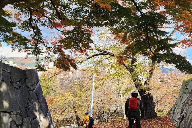 Morioka City Cycle with local guide: Temples, Treats & Townscapes - Starting at Morioka Station and Kaiunbashi Bridge