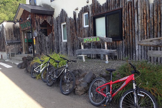 Mountain Bike Tour from Sapporo Including Hoheikyo Onsen and Lunch - Curry, naan, and a better-than-expected lunch