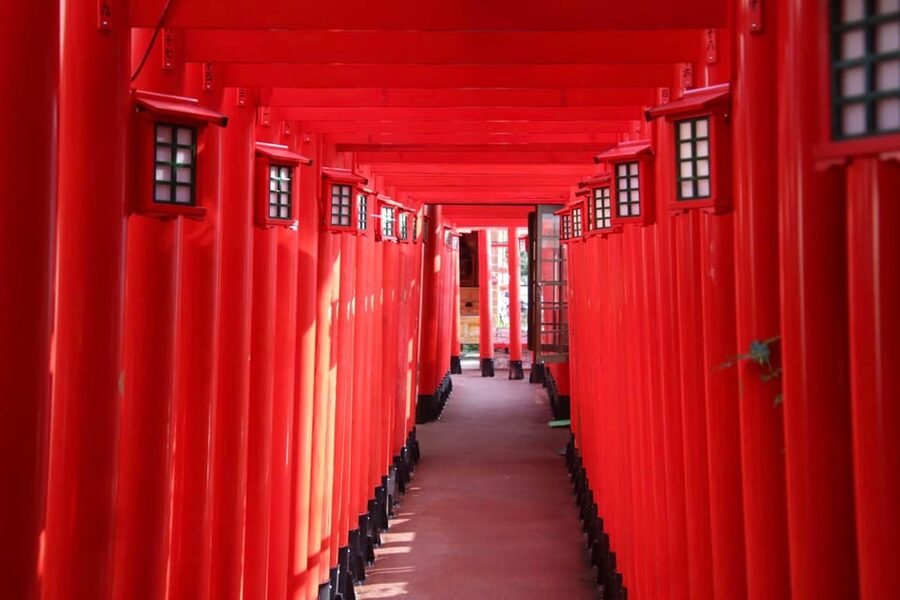 Naha: Guided E-Bike Tour of the 12 Zodiac Temples - Key points at a glance