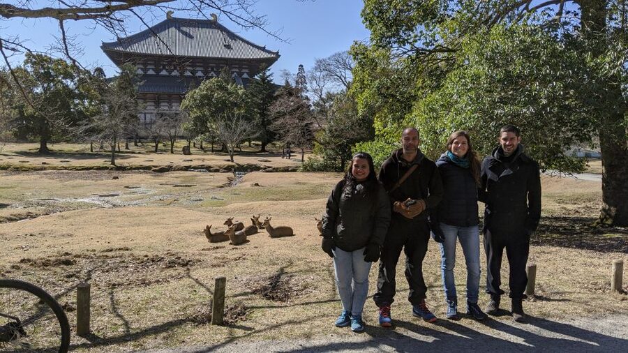 Nara: City Highlights Shared Group or Private Bike Tour - Why a bicycle works so well in Nara