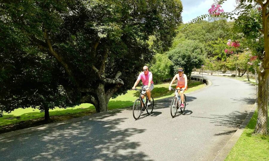 Nara: City Highlights Shared Group or Private Bike Tour - Riding through Nara Park with free-roaming deer
