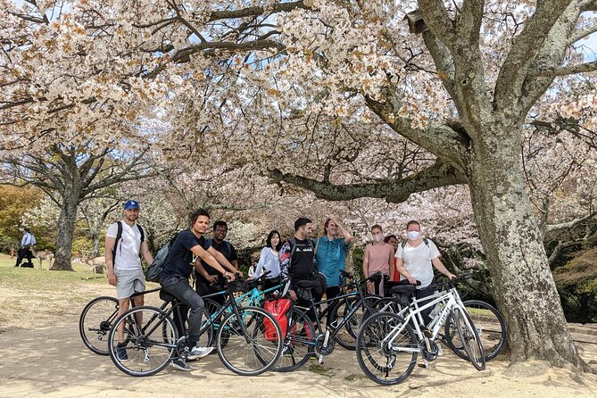 Nara - Heart of Nature Cross Bike Tour - Key points to know before you book