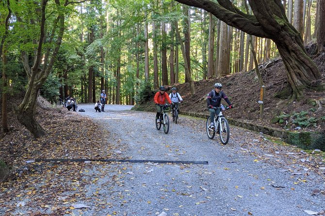 Nara - Heart of Nature Cross Bike Tour - A forgotten temple being reclaimed by the forest