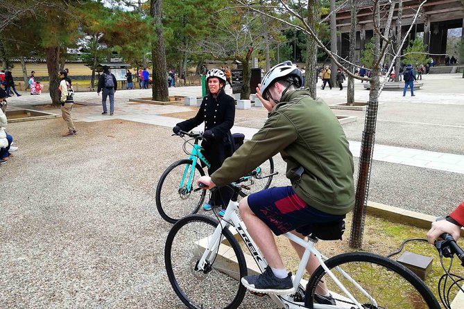 Nara - Private Family Bike Tour - What the private format really changes