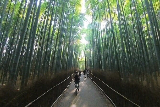 ONLY YOU in the Bamboo Forest! 4 hours E-bike tour with a local - Meeting Yuki by JR Saga-Arashiyama Station