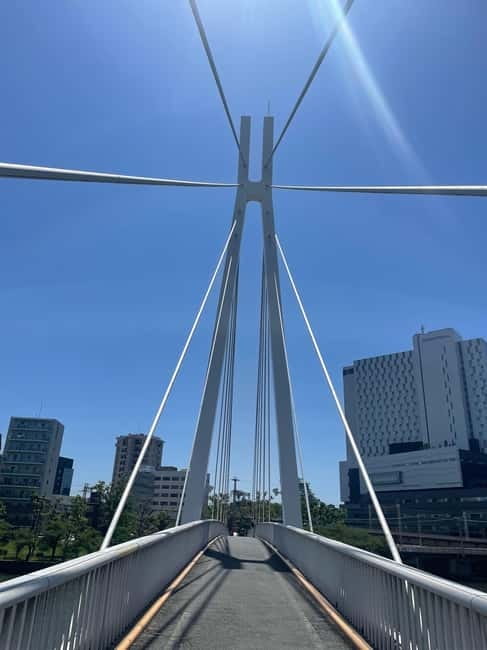 Osaka: Bike Adventure with Lunch - A local lunch with Japanese curry