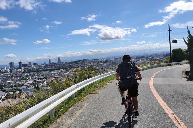 Osaka Half-day E-bike Adventure: Minoh Falls & Katsuoji Temple - Why this e-bike route works so well from Osaka