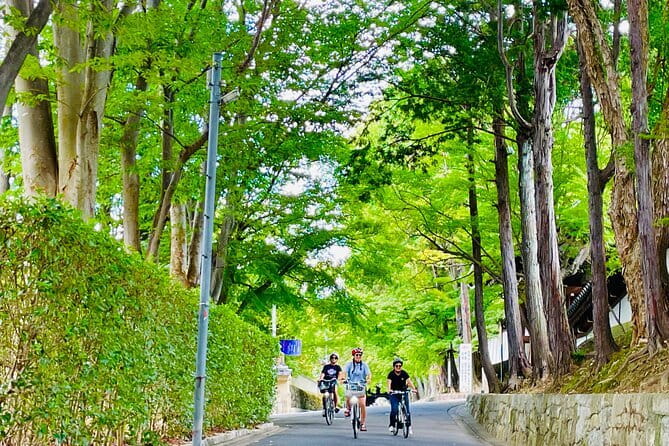 Pedal Adventure Kyoto's iconic landmarks on an e-bike tour - Why an e-bike works so well in Kyoto