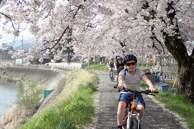 Private Afternoon Cycling Tour in Hida-Furukawa - From village roads to rice fields
