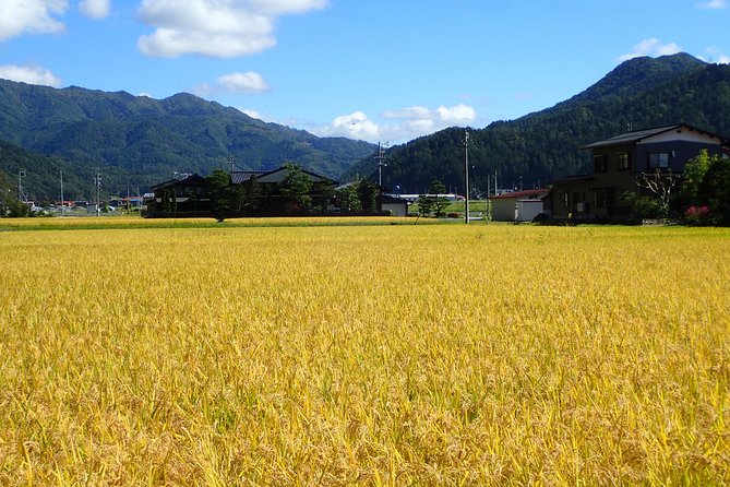 Private Afternoon Cycling Tour in Hida-Furukawa - Starting at 2 pm in the old town