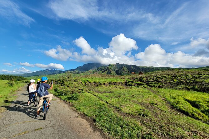 Private E-MTB guided cycling around Mt. Aso volcano & grasslands - Key points at a glance