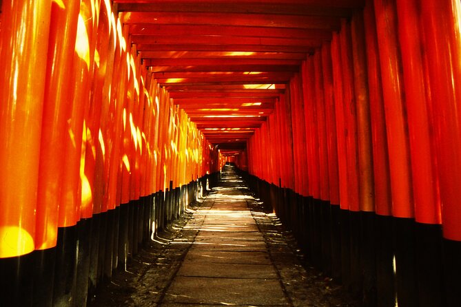 Private eBike Tour Exploring Fushimi with Torii Red Gate Ride - Key points to know before you book