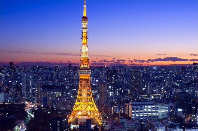 Private Half-Day Grand Bike Tour in Tokyo - Key points to know before you book