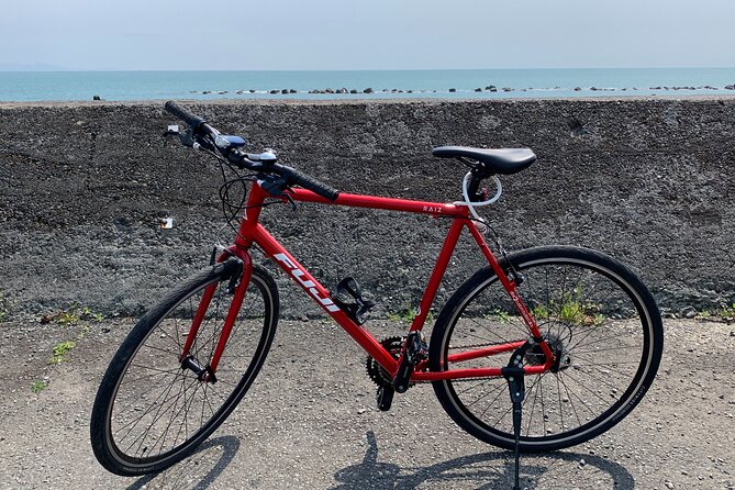 Rental Hybrid Bikes at Shizuoka Station (24 gears: Not e-bikes) - What the one to nine hour rental lets you do