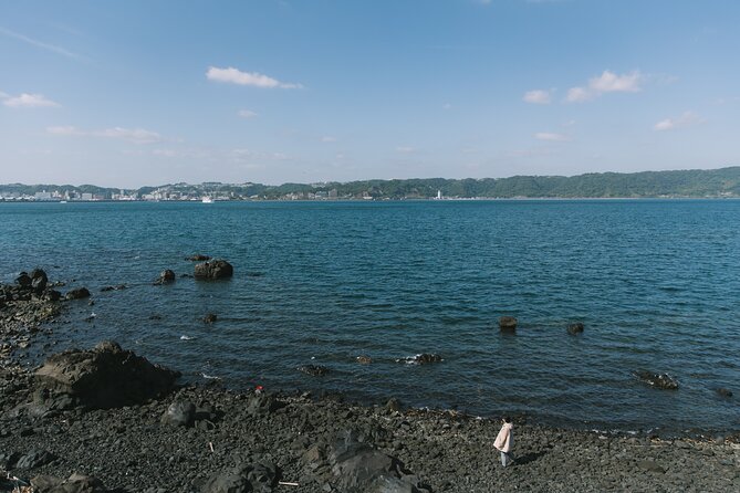 Sakurajima One Day Round Journey with E-bike - Starting at the Sakurajima Visitor Center