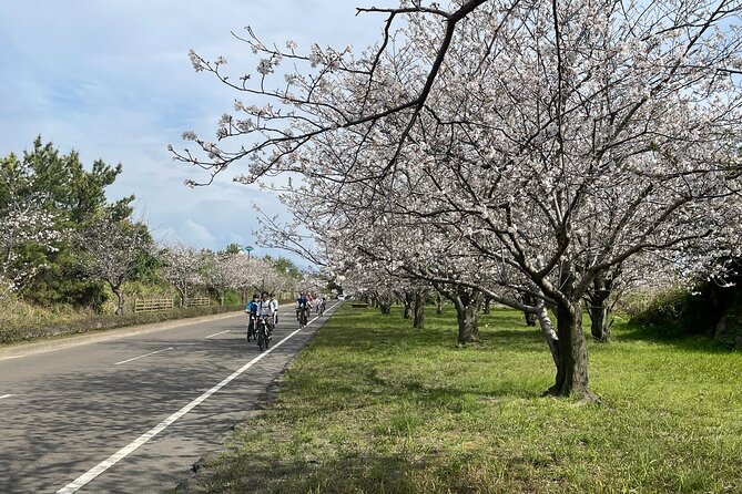 Sakurajima One Day Round Journey with E-bike - The buried shrine gate and Sakurajima’s power