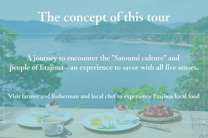 Savor Setouchi inland sea Local Food & Bike Tour with Local Guide - Fishing Ports, Satoumi Food, and Setouchi Views