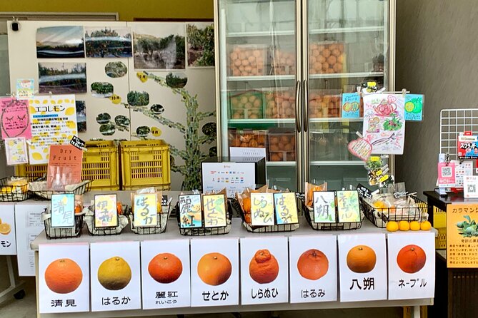Shimanami Kaido, 1Day Relaxed Island Hopping Cycling Tour - Innoshima and the 700 Buddhas of Mount Shirataki