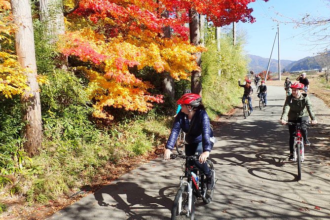 Short Morning Cycling Tour in Hida - Pedaling through Hida Furukawa’s quiet streets