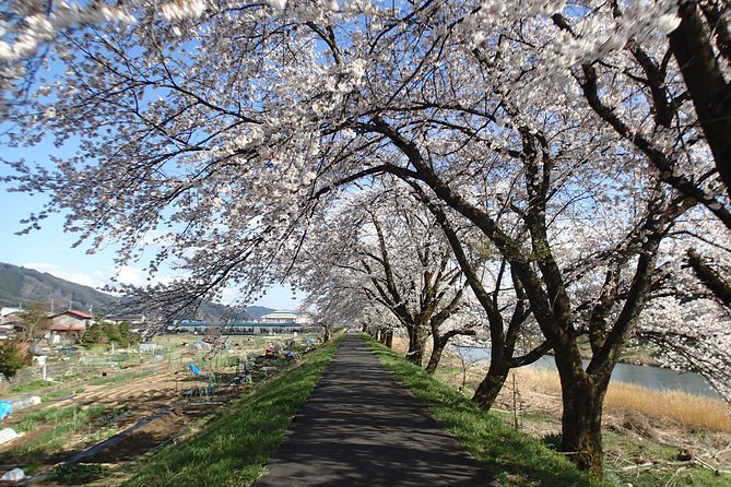 Short Morning Cycling Tour in Hida - Is $161.18 a fair price?