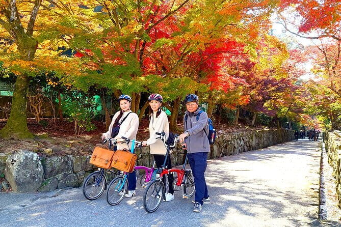 Slow Cycling Tour at Uji's Matcha Green Tea Fields and Heritage - Key points to know before you book