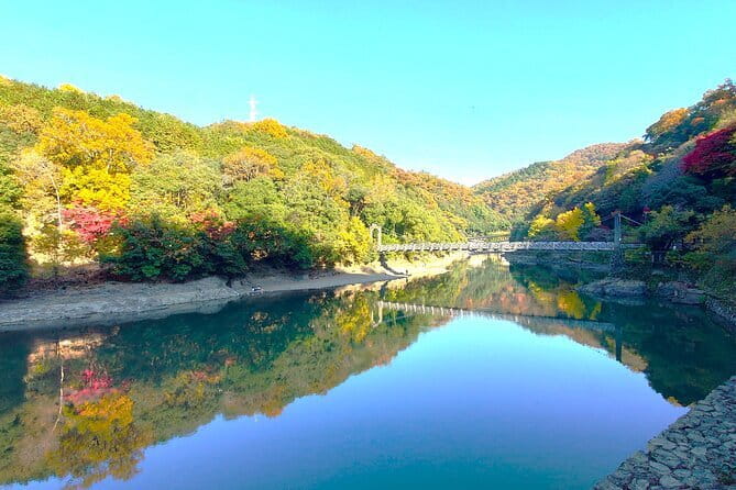 Slow Cycling Tour at Uji's Matcha Green Tea Fields and Heritage - Starting near Uji Station at 10 a.m.