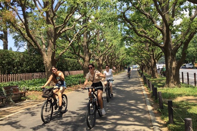 Small Group Cycling Tour in Tokyo - Aoyama Cemetery and Tokyo’s quieter side