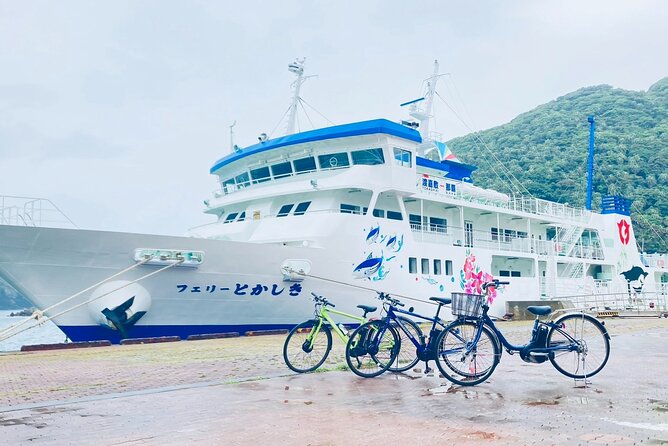 Tokashiki Island Guided Cycling Tour for 3-hours Course - Forest roads, flowers, and small signs of life