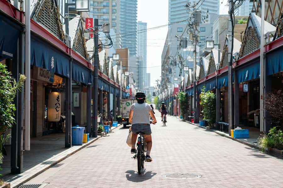 Tokyo: 3-hour Guided E-Bike Tour of the City's Hidden Gems - Key points to know before booking