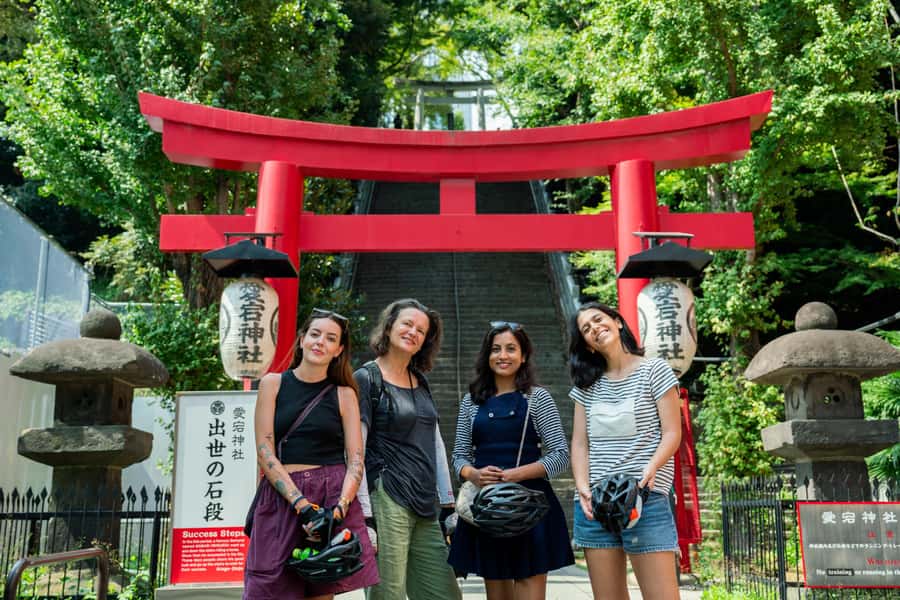 Tokyo: 3-hour Guided E-Bike Tour of the City's Hidden Gems - What riding in central Tokyo feels like