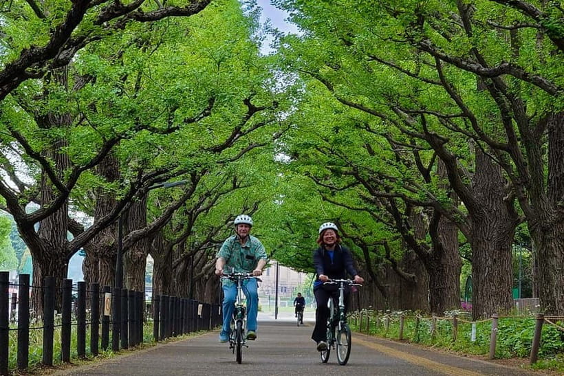 Tokyo: 3h Private E-bike Tours, Starting at Your Hotel - Meeting Kazuma at your hotel