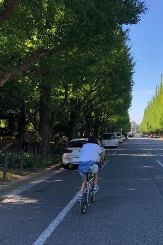 Tokyo Bike Tour: Shibuya, Harajuku & Hidden Gems - Gaien, the Ginkgo Avenue, and the National Stadium