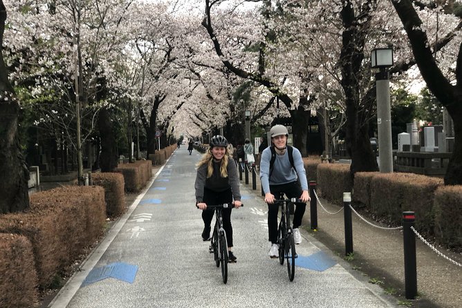 Tokyo Bike Tour: Shibuya & Hidden Tokyo - A useful first look at Tokyo by bicycle