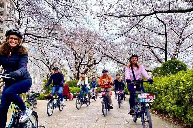 Tokyo Cherry Blossoms blooming spots E-bike Tour, 3hrs - Key points to know before you book