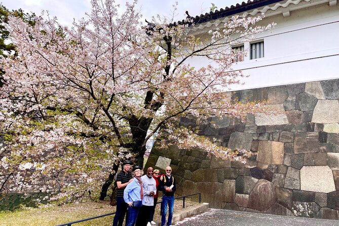 Tokyo Cherry Blossoms blooming spots E-bike Tour, 3hrs - Sotobori Park beside the outer moat