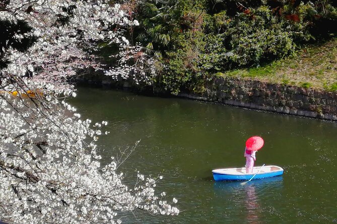 Tokyo Cherry Blossoms blooming spots E-bike Tour, 3hrs - A quick pass through Hibiya Park